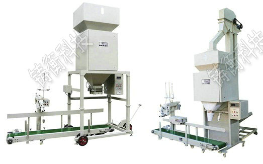 ��Ӷ�����